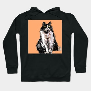 Tuxedo Cat Cute Drawing - on Apricot orange Hoodie